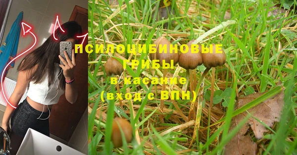mdma Богородицк