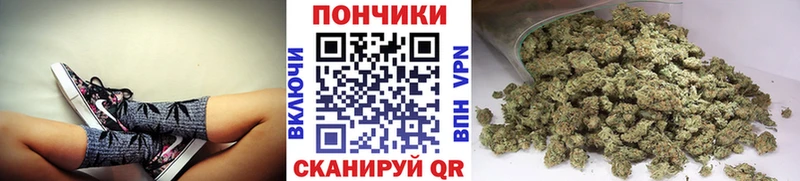 Каннабис сатива  закладки  Беслан 